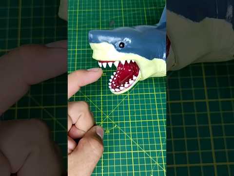 I FOUND A SHARK #curiosities #toys #shorts