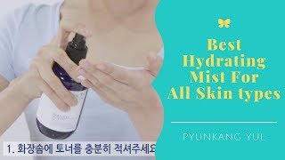 Best Hydrating Mist For All Skin types | Pyunkang Yul Mist Toner