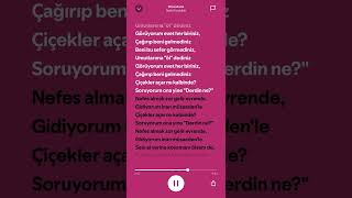 Rabia Tunçbilek - Müsadenle | Lyrics | #spotify #keşfet #tiktok