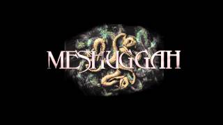 Meshuggah - Obzen (Lyrics Video)