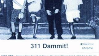 Thriving to the Scene - 311