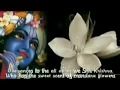 KRISHNASHTAKAM (Vasudeva sutam devam) with MEANING - looped to 1 HOUR