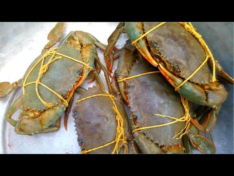 How To Cook Mud Crab Village Style || Catch And Cook Crab || Awesome Crab Recipe || Must Watch Video