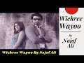 Najaf Ali Song Wichree Wayoo Sindhi Song Ktn Kashish