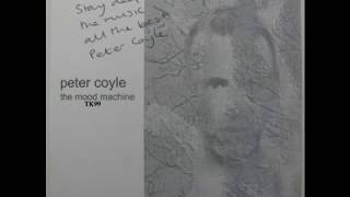 Peter Coyle - Reach For The Sun (2001) (Audio)