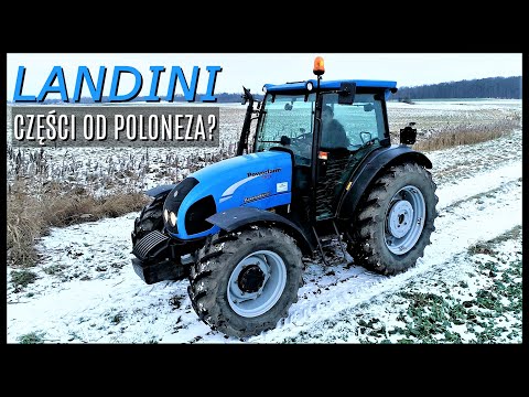 LANDINI POWERFARM 95 - Cheap Light Tractor for Everything