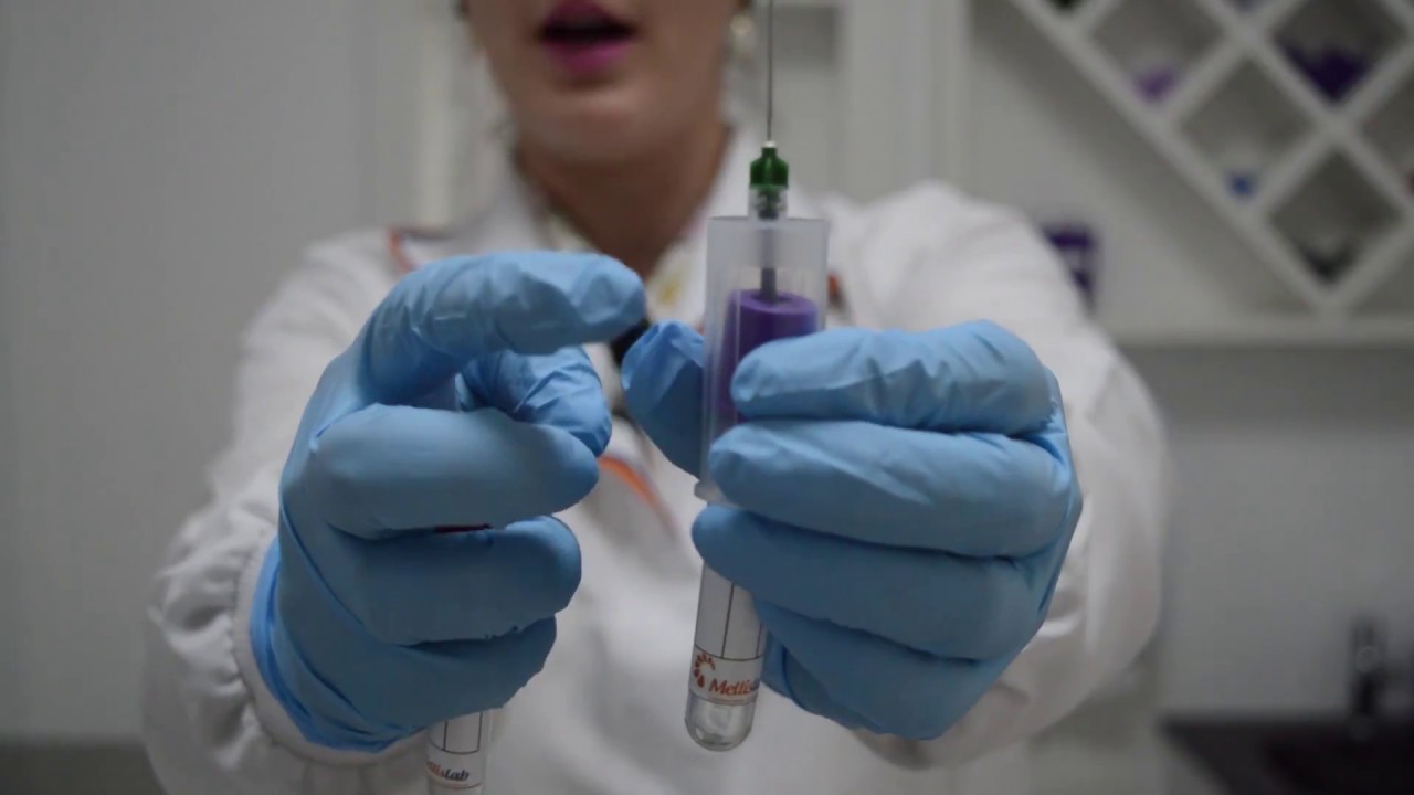 Como coletar para hemograma em animais