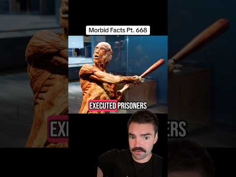 Die dunkle Wahrheit hinter der BODIES-Ausstellung #morbidfacts