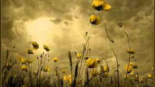 The Damnwells   Tonight and Forever Studio