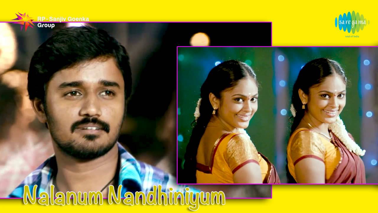 Sala Sala Lyrics  | Nalanum Nandhiniyum | Michael Thangadurai, Nandita | Sachin Warrier, Shankar Mahadevan | Ashwath