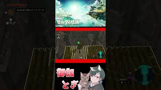 ゼル伝初心者が英雄になったあとの物語  213 #ゲーム実況 #shorts #short #ゲーム #ゼルダの伝説
