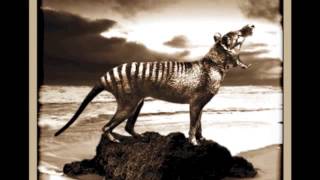 RUSSELL MORRIS - VAN DIEMEN'S LAND