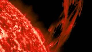 Share With Me the Sun