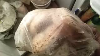 Truckissa J Cannell Ike Stevens Vasiliy Agiy all EXPOSED ! by a real Trucker Dirt Diesel .  FACTS !