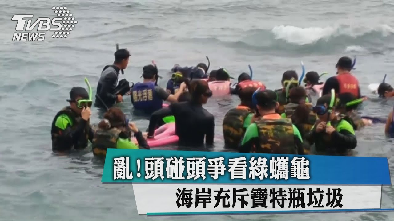 亂!頭碰頭爭看綠蠵龜 海岸充斥寶特瓶垃圾