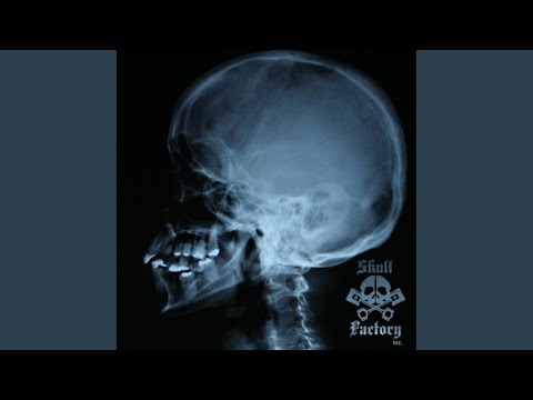 The Cluster (Lucas Magalhaes Remix)