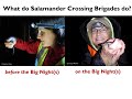 Salamander Crossing Brigade Volunteer Training: How the Crossing Brigades Work