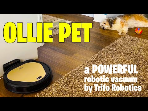 Ollie: The New Robotic Vacuum Cleaner for homes with Pets by Trifo