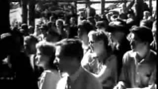 Modest Mouse Bukowski