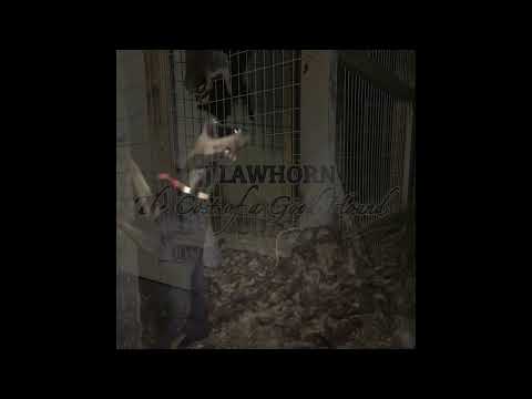 JJ Lawhorn -"The Cost of a Good Hound"- Official Video