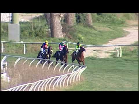 Napoli Galoppo 03/01/2023 - 3ª corsa