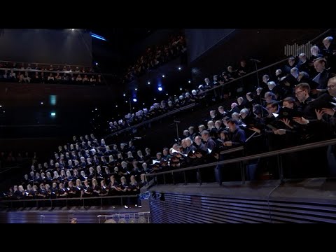 Sebastian Hilli: Affekt | Helsinki Philharmonic Orchestra & HSMF choirs | Leif Segerstam