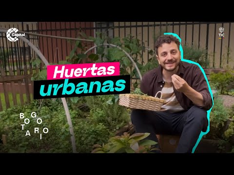 Más de 13.000 huertas urbanas transforman el Bogotario | Bogotario