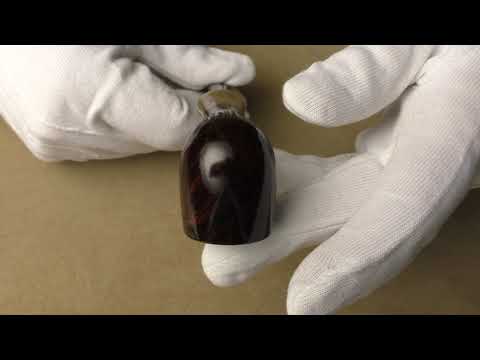 Dunhill Chestnut 1103 - pipe D535