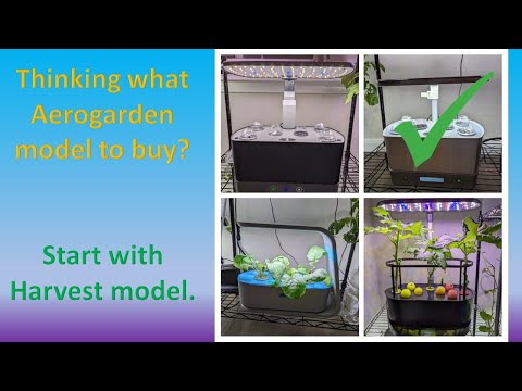 Aerogarden Harvest - Best for newbies - A detailed and real review with 3 years of usage