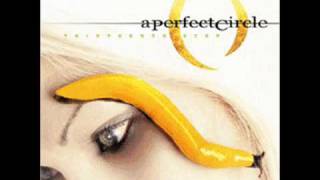 A perfect circle-The nursed who loved me