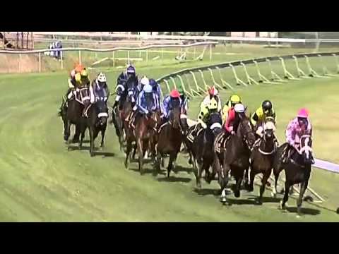 2016.01.09 Paddock Stakes (RSA) - Smart Call