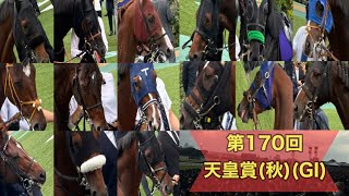 【1階東指定席】天皇賞秋2024 ★パドック～レース騎手インタビューまで★