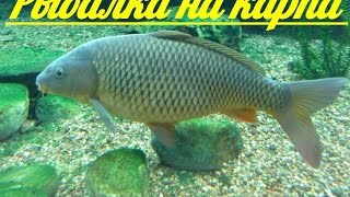 Какое лучше давления для ловли карпа