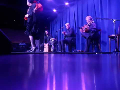 Promotional video thumbnail 1 for Mina Fajardo Flamenco Santa Fe