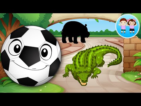 Poznasul Bo la Gradina Zoologica - Copilasi Dragalasi