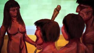 ABC da Astronomia [15] Noite