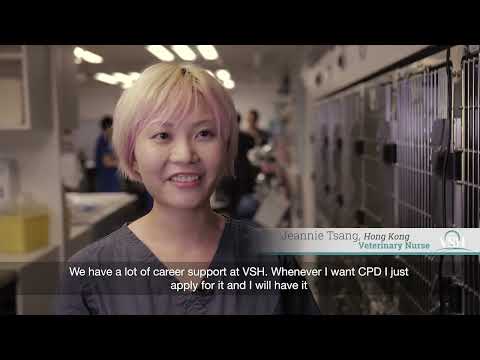 VSH Recruitment Video - Why we love living and working in Hong Kong
