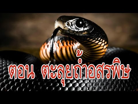 แผลเล็ก ๆ บนหน้าอก ทำไมนมเล็ก ๆ น้อย ๆ ที่เต้านม