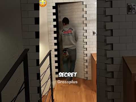 Secret house #shorts #science