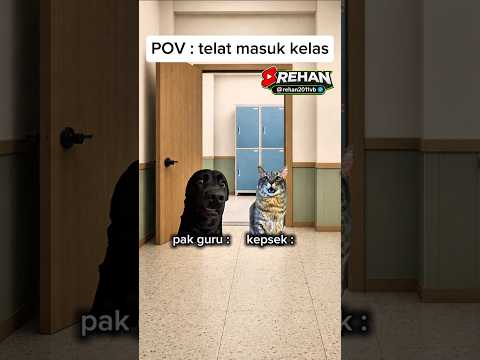 bro melakukan kesalahan terbesar...🙀 #memekucing #kucingmeme #meme #kucinglucu #fyp #viral