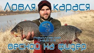 Как ловить крупного карася на фидер весной - Видео онлайн