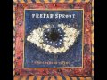 Prefab Sprout - The Sound Of Crying (LYRICS)