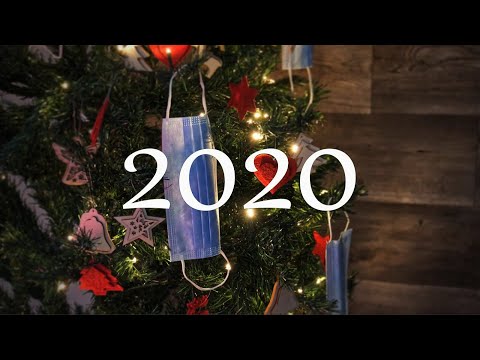dani a kovacs - 2020 (Official Music&Memes Video)