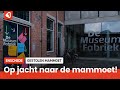 Mammoet gestolen bij de museumfabriek
