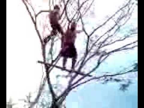 Um salto no absurdo video