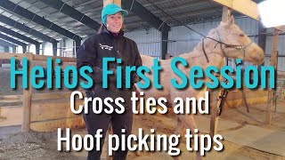 Helios First Session- Cross ties and picking up hoof tips