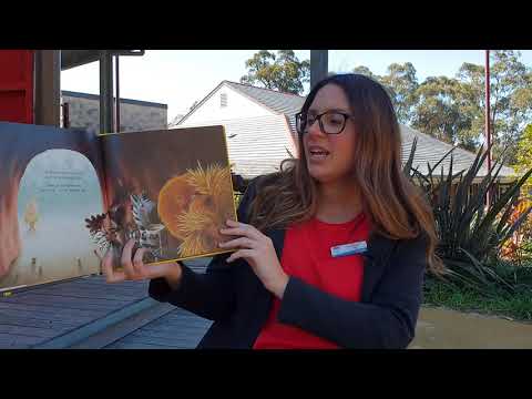 The Very Cranky Bear - Australian Reading Hour