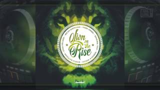 Lion On The Rise Riddim 2017 - Mix Promo by Faya Gong 🔥🔥🔥