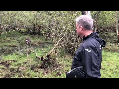 Opa Pearly auf der Pirsch im Moor