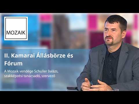Mozaik – 2026.09.14. – II. Kamarai Állásbörze és Fórum– vendég: Schüller Balázs